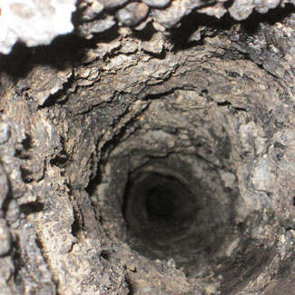 Créosote sous forme de morceaux soufflés et cassants